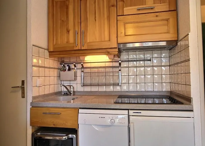 Renove Pour 4 Au Pied Des Pistes Avec Balcon - Fr-1-455-127 La Plagne